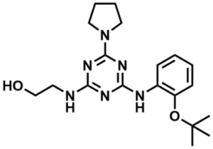 structure image