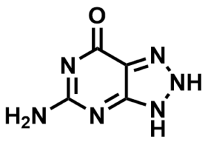 ML068