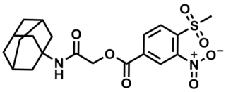 structure image