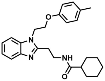 ML217