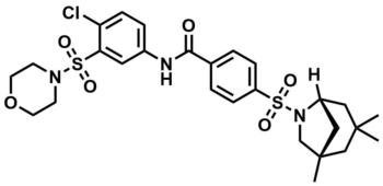 structure image