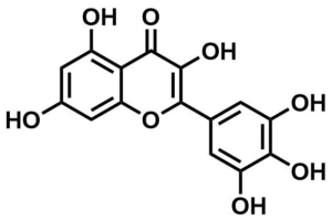 ML061