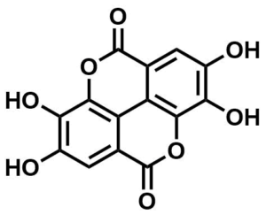 structure image